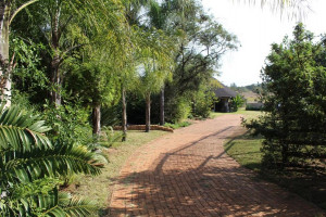  Vacation Hub International | Honey Lodge Main