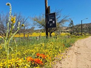  Vacation Hub International | Thys'e Kombuis & Guest Lodge Main