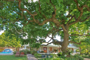  Vacation Hub International | Montagu Vines Guesthouse Main