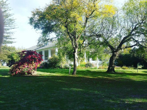  Vacation Hub International | Strathbreede House and Strathbreede Cottage Main