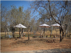  Vacation Hub International | Klavati Game Lodge Main