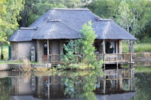  Vacation Hub International | Waterberg Predator Park Main