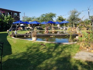  Vacation Hub International | Nyani Lodge Main