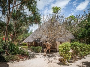  Vacation Hub International | Hakuna Majiwe Beach Lodge Main
