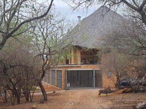  Vacation Hub International | KaiZen Honeybadger Lodge Main