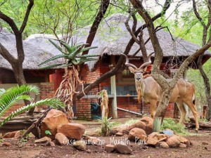  Vacation Hub International | Casa Camacho Main