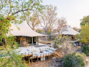  Vacation Hub International | Thornybush -Saseka Tented Camp Main