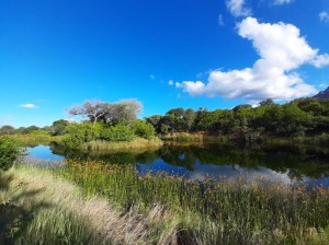  Vacation Hub International | Hoedspruit Bushveld Retreat Main