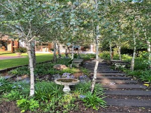  Vacation Hub International | Olive Branch Cottage Main