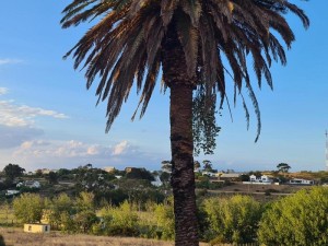  Vacation Hub International | The Restio Country Guesthouse Main