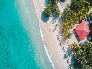  Vacation Hub International | ALLAMANDA BEACH HOTEL Main