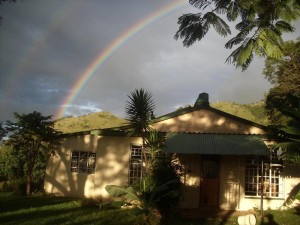  Vacation Hub International | Bushwhacked Barberton Main