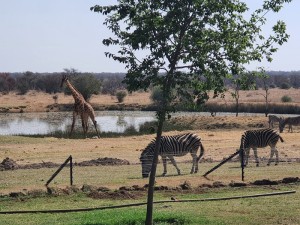  Vacation Hub International | Wild & Water Main