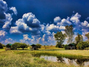  Vacation Hub International | Savannah Game Lodge, Wedding Venue and River Retreat Main