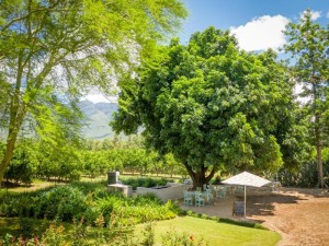  Vacation Hub International | Francine’s Farmhouse & Venue Main