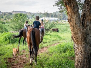  Vacation Hub International | The Barn at Tembele Main