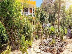  Vacation Hub International | Reef & Beach Resort - Spa Jambiani Main