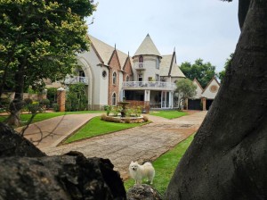  Vacation Hub International | Castle Home Main