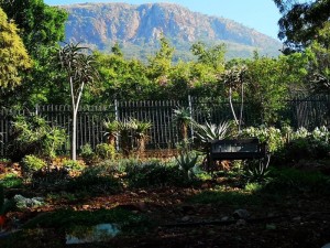  Vacation Hub International | Mia Hills guest house Main