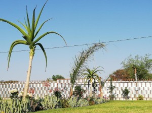  Vacation Hub International | Masane Lodge Main