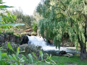  Vacation Hub International | The Falls Cottages Main