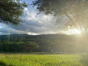  Vacation Hub International | Gaia’s Grace Farm Cottage Main