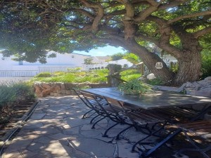  Vacation Hub International | Thyme Wellness Spa and Guesthouse Main