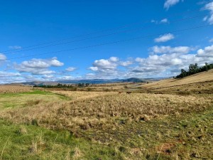  Vacation Hub International | Frankie Cottage Main