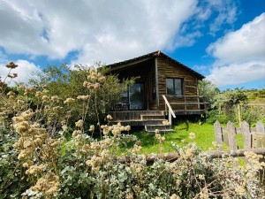 Vacation Hub International | Fynbos Garden Cottage Main