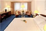  Vacation Hub International | Wyndham Berlin Excelsior Room