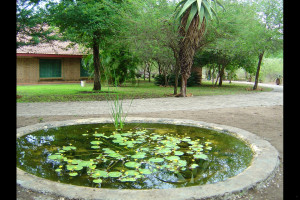  Vacation Hub International | Impala Place Room