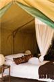  Vacation Hub International | Elgin Hills Tented Camp Room