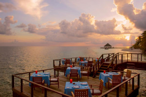  Vacation Hub International | Coco Bodu Hithi Room