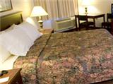  Vacation Hub International | AmericInn Hotel & Suites Mounds View Room