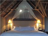  Vacation Hub International | The Phantom Forest Room