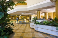  Vacation Hub International | Safari Court Hotel Room