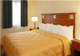  Vacation Hub International | Comfort Inn & Suites Washington Dulles International Airpor Room