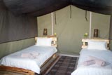  Vacation Hub International | Tri Active Lodge Room