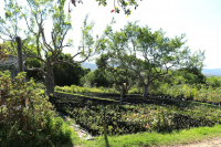  Vacation Hub International | Platbos Forest Room