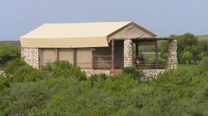  Vacation Hub International | Thali Thali Game Lodge Room