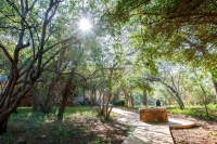  Vacation Hub International | Shikwari Game Reserve Room