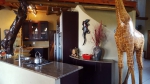  Vacation Hub International | Orange.....More Than Just A Colour Room
