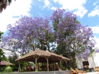  Vacation Hub International | Stellenhof Farmstay Bed and Breakfast Room