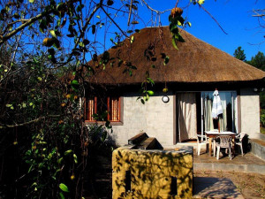  Vacation Hub International | Triton Dive Lodge Room
