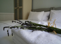  Vacation Hub International | Carter House Room