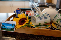  Vacation Hub International | The Bronzy Sunbird Room