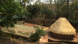  Vacation Hub International | Rainforest Boutique Camp Room