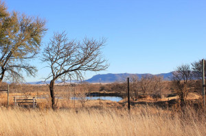  Vacation Hub International | a Dam's view Room
