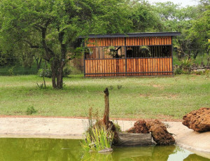  Vacation Hub International | Marulani Bush Lodge Room