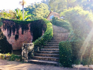  Vacation Hub International | Magoebaskloof mountain estate Room